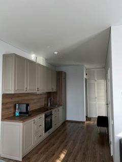 Kaunorama apartamentai prie Žalgirio arenos - Kaunas - 2