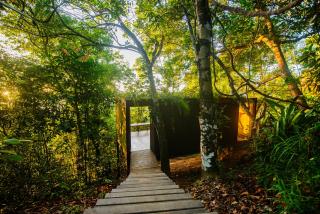 A Casinha da Floresta - 8