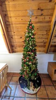 Close to Williams, Flagstaff, Grand Canyon and Sedona - Williams - 7