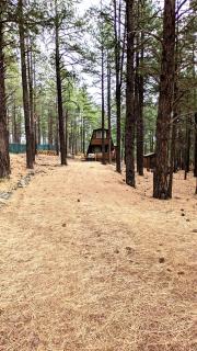 Close to Williams, Flagstaff, Grand Canyon and Sedona - Williams - 2