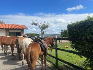 Gravatá Flat no condomínio Monte Castelo MELHOR LOCALIZAÇÃO , Wi-Fi, SKY e AR - Gravatá - 4