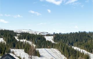 Pet Friendly Home In Trysil With Wifi - Trysil - 3