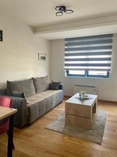 Apartman Nikolić Zlatibor - Zlatibor - 6