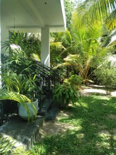 Silance Garden - 4