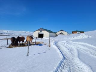 Guesthouse Klambrasel - Husavik - 9