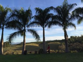 Casa de Fazenda próxima a Poços de Caldas - 8