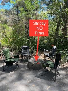 WA Wilderness Camping Experience - Pemberton - 4