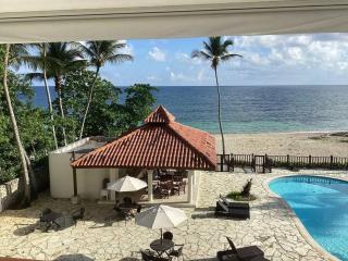 Apartment with ocean front view - Juan Dolio - 2