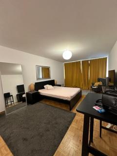 Appartement Confort, Vue sur le Lac - Ginevra - 3