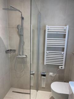 Luxueux studio aux Eaux-Vives - Ginevra - 6