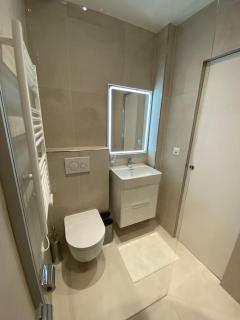 Luxueux studio aux Eaux-Vives - Ginevra - 2