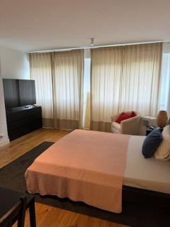 Studio confortable Eaux-Vives - Ginevra - 2