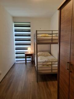 Bianca 2 by SMR Rauris Apartments - inc Spa and National Summercard - near Gondola - Rauris - 2