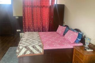 Villa with tropical garden - Chandīgarh - 5