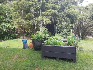 Ohiwa - Bryans Beach Apartment - Waiotahi - 2
