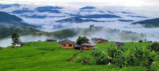 MonNaPaBongPiang Homestay ม่อนนาป่าบงเปียง โฮมสเตย์ - 1