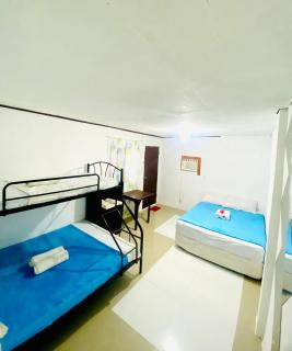 Hibiscus Dive Inn - Pooc - 3