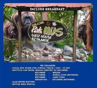Pak Mus Guest House Ketambe - 0813-7072-1793 - Kutacane - 0