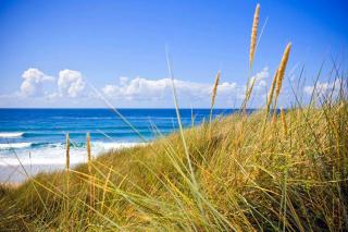 Castaways, Cottage With Sea Views, Lush Gardens & Patio By the Beach - Sennen - 3