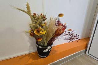 Studio LuxOrange - Massy - 1