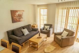 Andrea 3 by SMR Luxury Apartments inc Spa and near Gondola - Rauris - 9