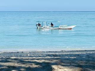 Scar Reef Resort - Beachfront Paradise HALF BOARD or NIGHT STAY - 5
