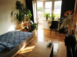 ApartCraft 27th Room - Bielsko-Biala - 0