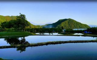 Guest House Honami-Kaido - Yamanouchi - 7