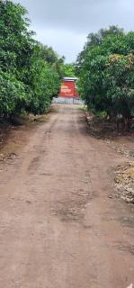 Hotel Ekant tourist resort - Junnar - 8