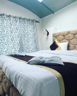 The Empire Resort , Nubra - Nubra - 9