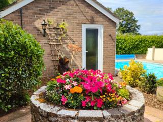 The Pool House - Crediton - 0