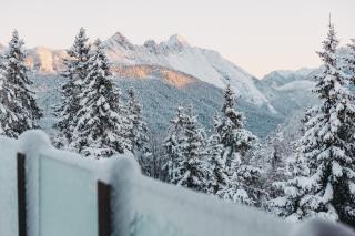 CHALET G12 - Mountain Luxury Apartments - Seefeld in Tirol - 4