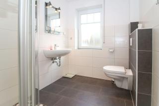 Kleine-Robbe - Norden - 3