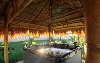 Villa Merapi - Sveti Lovreč Pazenatički - 7