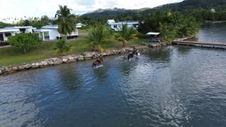 Marina Village Raiatea - Taputapuapea - 7