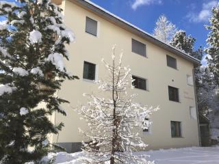 Chesa Guardamunt - Celerina - 1