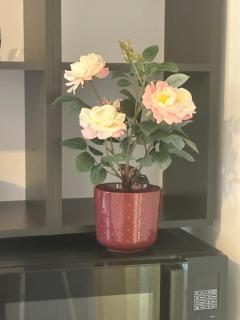 Mini Studio au calme - 8