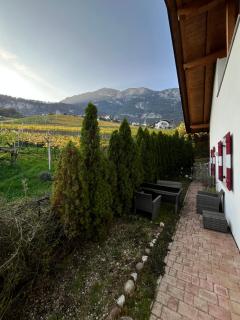 Für 4-6 Wohnhaus im Weinberg - Voldersberghof - Penone - 4