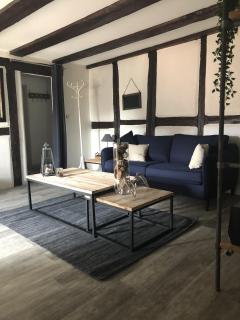 Sous les toits du Zinc - Climatisé - Colmar - 6