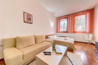 Relaxing Mountain Getaway in Cozy Studio by Flat Mаnager - Pamporovo - 5