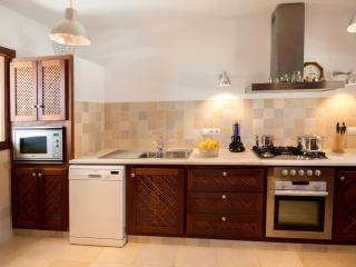 Holiday home with large private pool - Talamanca - 1
