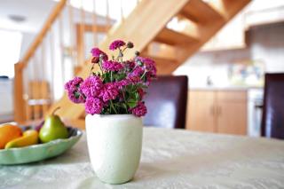 Ferienwohnung H H Ingwersen - Schwabstedt - 4