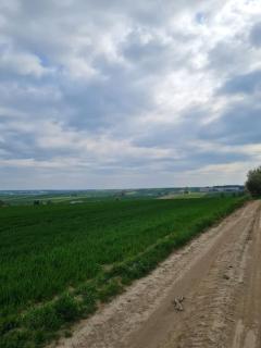 Dworek w Choinach - 3