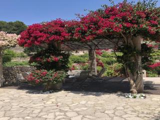 Holiday home with water adventures - Sóller - 9
