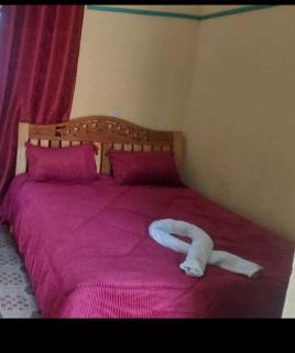 Potters Air bed and breakfast - Kagio - 7