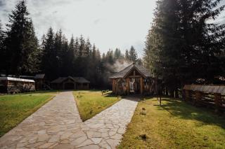 Pensiunea Izvoare - Baia Mare - 5