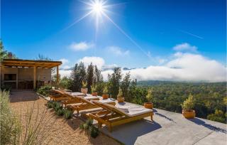 Villa Terra Motovun - Motovun - 4
