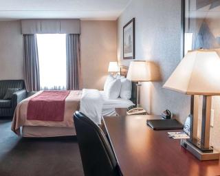 Comfort Inn - Mississauga - 2