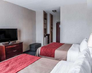 Comfort Inn - Mississauga - 4