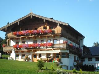 Hagauhof - Kirchberg in Tirol - 0